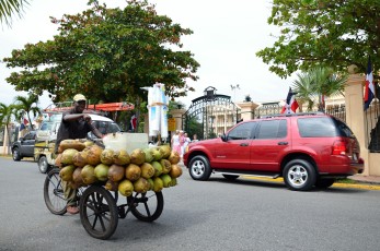 Rozvoz kokosů