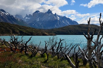 Jezero Pehoé, na pozadí a Cuernos del Paine