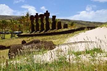 Ležící Moai, v pozadí plošina Ahu Nau Nau