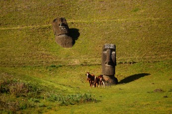 Moai na úpatí vulkánu Rano Raraku a mezi nimi divocí koně