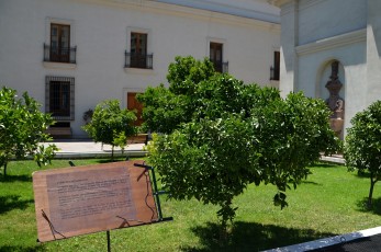 Vnitřní zahrada prezidentského paláce