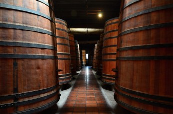 Obrovské sudy na víno ve sklepeních vinařství