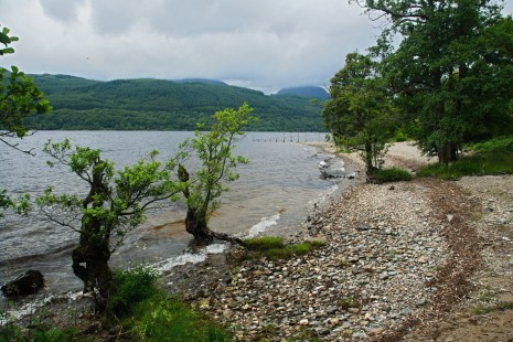 Pobřeží jezera Loch Lomond