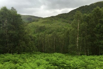 Skotsko září všemi odstíny zelené barvy