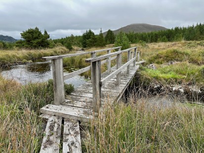 Dřevěný most