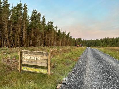 Sheskin Forest
