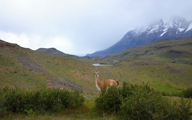 Přejezd do Puerto Natales a pak do NP Torres del Paine