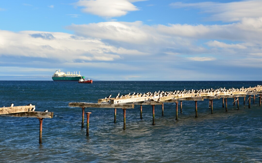 Vracíme se zpět do Punta Arenas