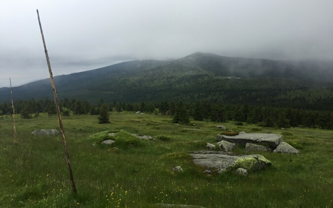 Krakonošova 100 2015 aneb můj první dokončený 100 km závod