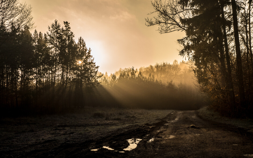 Pražská stovka 2015 aneb potřetí a zase neúspěšně…