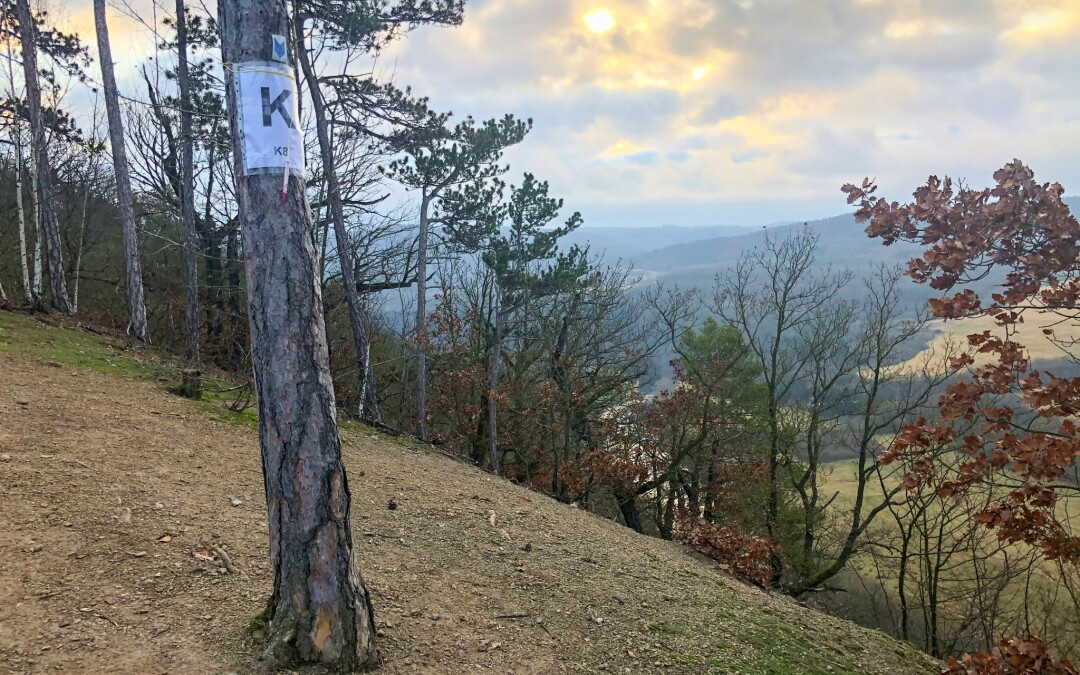 Pražská 100 2019 aneb na Prahu od západu a zase nic… (DNF)