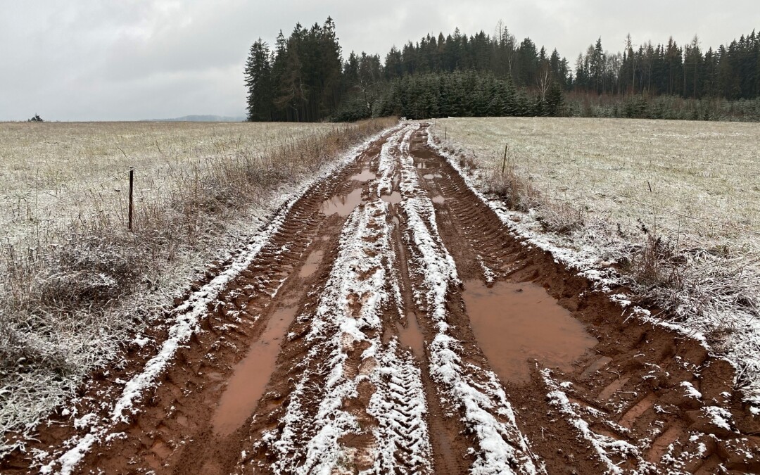 Stovka Podkrkonoším 2020 aneb bláto, louže, marast, zima, déšť a sníh