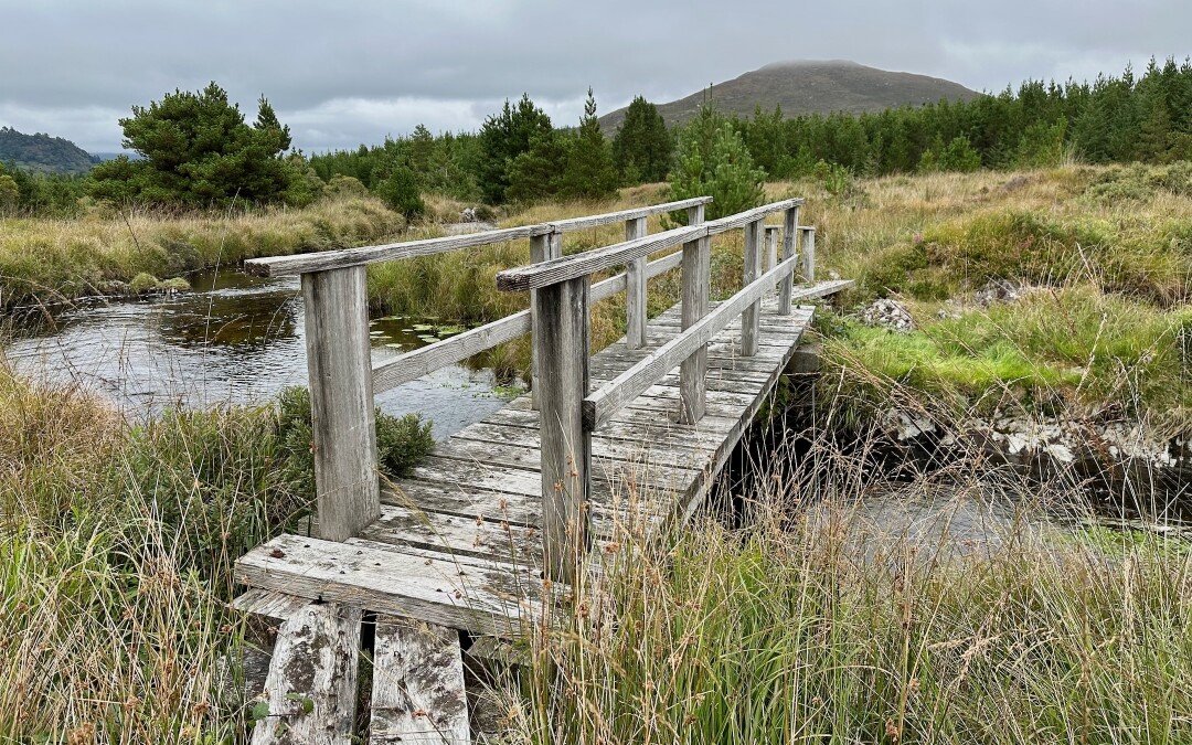 Letmý start The Western Way (Oughterard -> Maumeen, TWW den 1.)