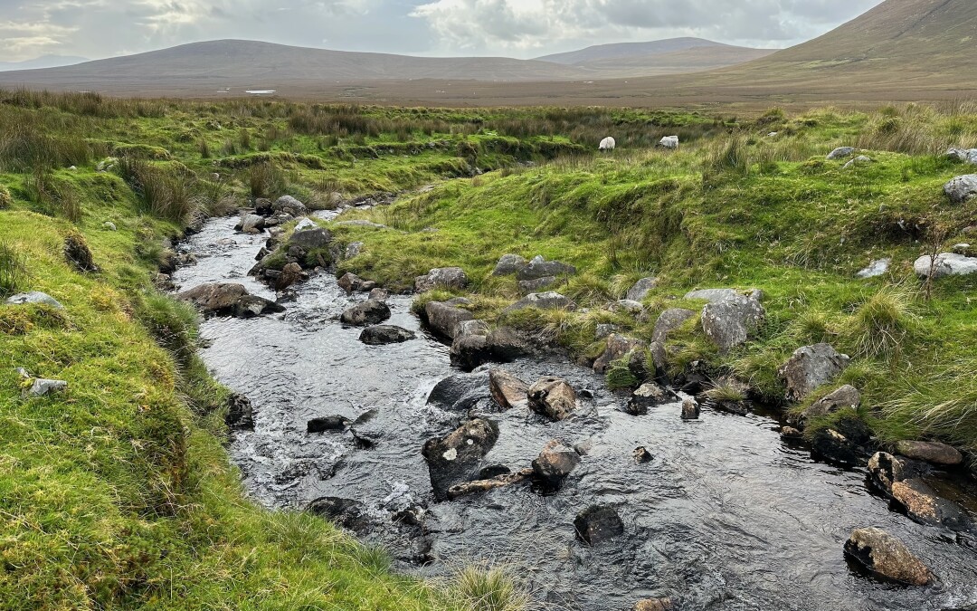 Vzhůru do parku Wild Nephin! (Newport -> Wild Nephin NP, TWW den 5.)