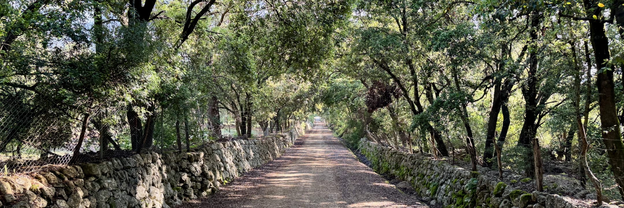 Mallorca 2025 - den 5.