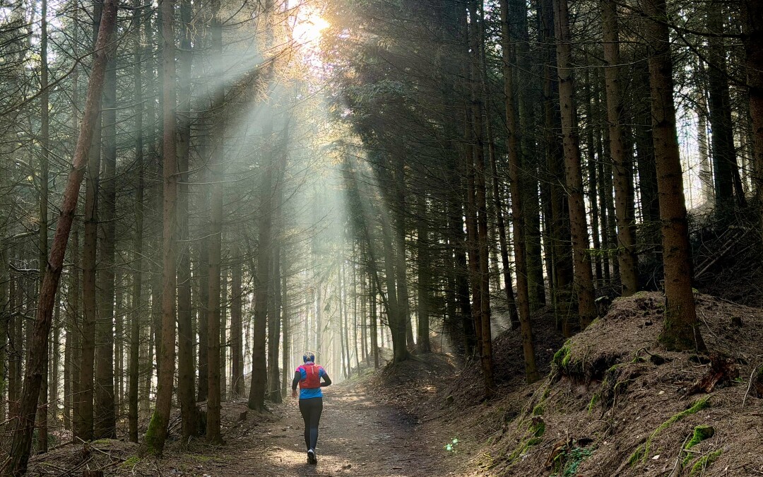 S Trilobitem (ne)zimou nezimou 2026 aneb blýskání na lepší časy?